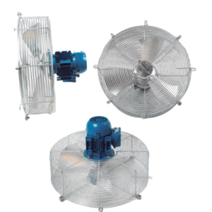 Línea Axial WF